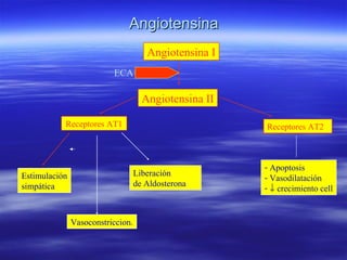 Angiotensina I
Angiotensina II
ECA
Receptores AT1 Receptores AT2
Estimulación
simpática
Vasoconstriccion.
Liberación
de Aldosterona
- Apoptosis
- Vasodilatación
- ↓ crecimiento cell
AngiotensinaAngiotensina
 