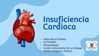 Insuficiencia
Cardiaca
• Ulises Reyes Garibay
• 217610651
• Fisiopatología
• Centro Universitario De La Ciénega
• Medico Cirujano y Partero
 