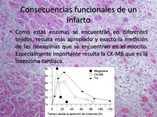 Consecuencias funcionales de un
infarto
• Como estas enzimas se encuentran en diferentes
tejidos, resulta más apropiado y exacto la medición
de las isoenzimas que se encuentran en el miocito.
Especialmente importante resulta la CK-MB que es la
isoenzima cardíaca.
 