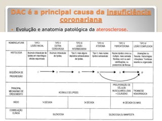 DAC é a principal causa da insuficiência 
coronariana 
 Evolução e anatomia patológica da aterosclerose. 
 