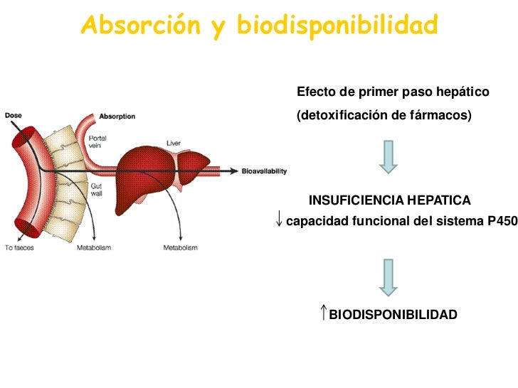 Leer sobre metabolismo del paracetamol