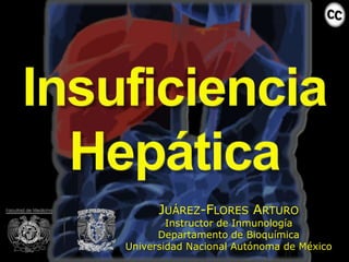 JUÁREZ-FLORES ARTURO
        Instructor de Inmunología
      Departamento de Bioquímica
Universidad Nacional Autónoma de México
 