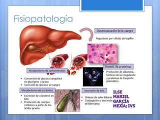Fisiopatología
 