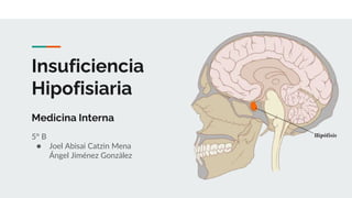 Insuficiencia
Hipofisiaria
Medicina Interna
5° B
● Joel Abisai Catzin Mena
Ángel Jiménez González
 