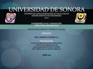 UNIVERSIDAD DE SONORA
    DIVISIÓN DE CIENCIAS BIOLÓGICAS Y DE LA SALUD
           DEPARTAMENTO DE ENFERMERÍA
                         2012-1

           ENFERMERÍA EN EL CUIDADO DEL
              NIÑO Y DEL ADOLESCENTE
       ¨INSUFICIENCIA RENAL CRÓNICA Y AGUDA¨
                     DOCENTE:
              MCE. MARCELA PADILLA L.
                  INTEGRANTES:
          ZAZUETA BELTRAN LUIS FERNANDO
              VENTURA ORNELAS LUIS
            AGUILERA SIFUENTES YVONNE
           MC GREW ESCALANTE ENRIQUE

                      ABRIL 2012
 