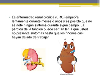 • La enfermedad renal crónica (ERC) empeora
lentamente durante meses o años y es posible que no
se note ningún síntoma durante algún tiempo. La
pérdida de la función puede ser tan lenta que usted
no presenta síntomas hasta que los riñones casi
hayan dejado de trabajar.
 