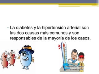• La diabetes y la hipertensión arterial son
las dos causas más comunes y son
responsables de la mayoría de los casos.
 