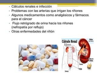 • Cálculos renales e infección
• Problemas con las arterias que irrigan los riñones
• Algunos medicamentos como analgésicos y fármacos
para el cáncer
• Flujo retrógrado de orina hacia los riñones
(nefropatía por reflujo)
• Otras enfermedades del riñón
 