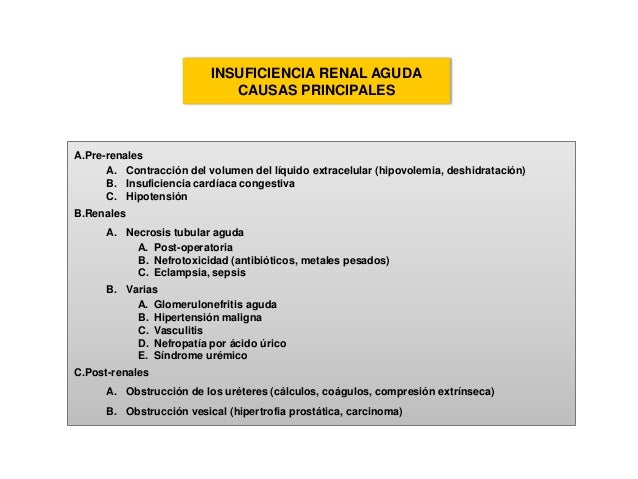 Insuficiencia Renal Insuficiencia Renal