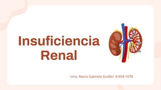 Insuficiencia
Renal
Univ. María Gabriela Guillén 8-954-1078
 
