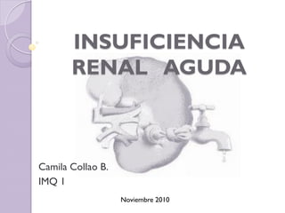 INSUFICIENCIA
       RENAL AGUDA



Camila Collao B.
IMQ 1
                   Noviembre 2010
 