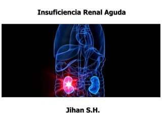 Insuficiencia Renal Aguda
Jihan S.H.
 