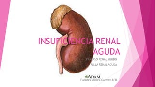 INSUFICIENCIA RENAL
AGUDA
FRACASO RENAL AGUDO
FALLA RENAL AGUDA
Fuentes Labora Carmen 8°B
 