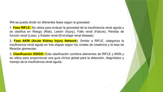 INSUFICIENCIA RENAL AGUDA CATEDRA DE NEFROLOGIA | PPTX
