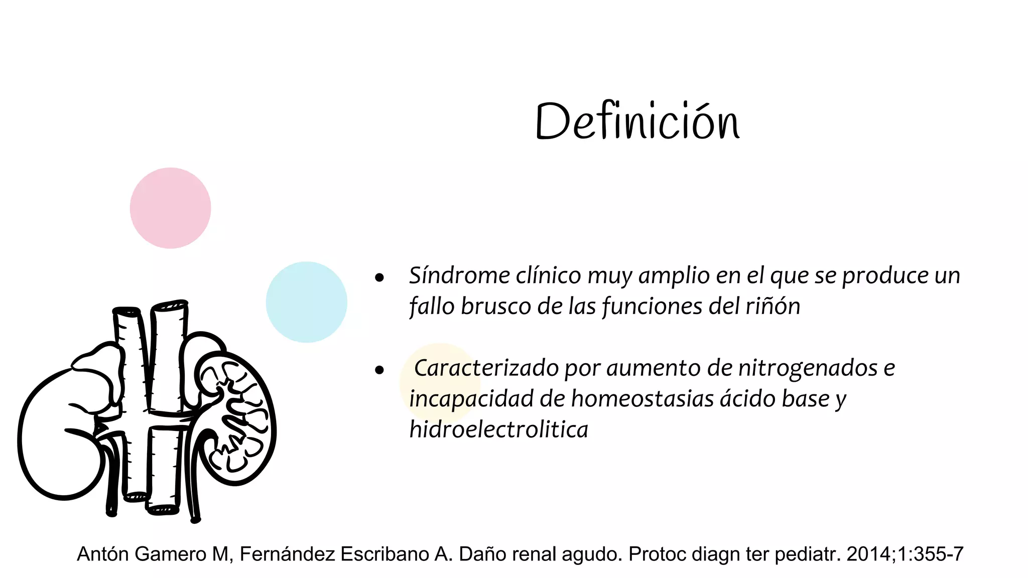 INSUFICIENCIA RENAL AGUDA FER.pptx
