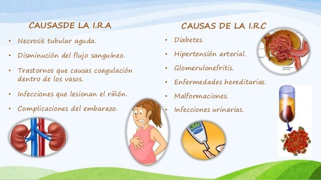 Insuficiencia renal aguda y crónica