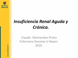 Insuficiencia Renal Aguda y Crónica. Claudia  Montandon Prieto Enfermera Docente U Mayor  2010. 