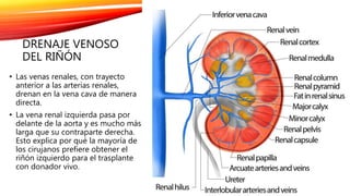 Insuficiencia renal cirugia | PPTX
