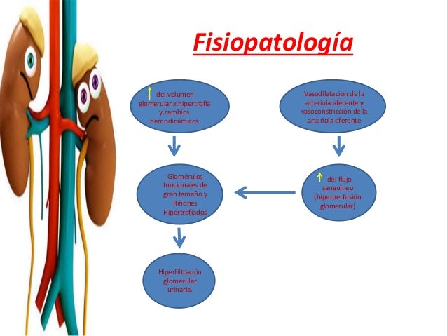 Insuficiencia renal crónica