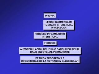 INJURIA
LESION GLOMERULAR
TUBULAR, INTERSTICIAL
O VASCULAR
PROCESO INFLAMATORIO
INTERSTICIAL
FIBROSIS
AUTOREGULACION DEL FLUJO SANGUINEO RENAL
DAÑO ENDOTELIAL PERMANENTE
PERDIDA PROGRESIVA E
IRREVERSIBLE DE LA FILTRACION GLOMERULAR
 