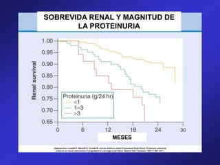 SOBREVIDA RENAL Y MAGNITUD DE
LA PROTEINURIA
MESES
 