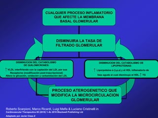 CUALQUIER PROCESO INFLAMATORIO
QUE AFECTE LA MEMBRANA
BASAL GLOMERULAR
DISMINUIRA LA TASA DE
FILTRADO GLOMERULAR
DISMINUCION DEL CATABOLISMO
DE QUILOMICRONES:
↑ VLDL interfiriendo con la captación del LDL por sus
Receptores (modificación post-trascripcional)
Altera la glicación, oxidación y carbamilación del LDL
DISMINUCION DEL CATABOLISMO DE
LIPOPROTEINAS:
↑ Liporpoteína a (Lp.a) y el HDL inflamatorio de
fase aguda el cual disminuye el HDL.↑ TG
PROCESO ATEROGENETICO QUE
MODIFICA LA MICROCIRCULACION
GLOMERULAR
Roberto Scarpioni, Marco Ricardi, Luigi Melfa & Luciano Cristinelli in
Cardiovascular Therapeutics 00 (2010) 1–8c 2010 Blackwell Publishing Ltd
Adaptado por Javier Cieza Z
 