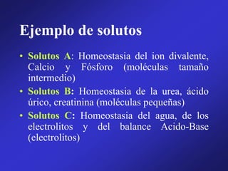 Ejemplo de solutos
• Solutos A: Homeostasia del ion divalente,
Calcio y Fósforo (moléculas tamaño
intermedio)
• Solutos B: Homeostasia de la urea, ácido
úrico, creatinina (moléculas pequeñas)
• Solutos C: Homeostasia del agua, de los
electrolitos y del balance Acido-Base
(electrolitos)
 