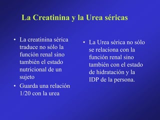 La Creatinina y la Urea séricas
• La creatinina sérica
traduce no sólo la
función renal sino
también el estado
nutricional de un
sujeto
• Guarda una relación
1/20 con la urea
• La Urea sérica no sólo
se relaciona con la
función renal sino
también con el estado
de hidratación y la
IDP de la persona.
 