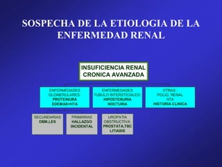 SOSPECHA DE LA ETIOLOGIA DE LA
ENFERMEDAD RENAL
SECUNDARIAS
DBM,LES
PRIMARIAS
HALLAZGO
INCIDENTAL
ENFERMEDADES
GLOMERULARES:
PROTEINURA
EDEMAS+HTA
UROPATIA
OBSTRUCTIVA:
PROSTATA,TBC
LITIASIS
ENFERMEDADES
TUBULO INTERSTICIALES:
HIPOSTENURIA
NOCTURIA
OTRAS :
POLIQ. RENAL
HTA
HISTORIA CLINICA
INSUFICIENCIA RENAL
CRONICA AVANZADA
 