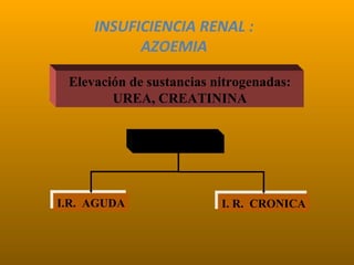 INSUFICIENCIA RENAL :
AZOEMIA
Elevación de sustancias nitrogenadas:
UREA, CREATININA
AZOEMIA
I. R. CRONICAI. R. CRONICAI.R. AGUDAI.R. AGUDA
 