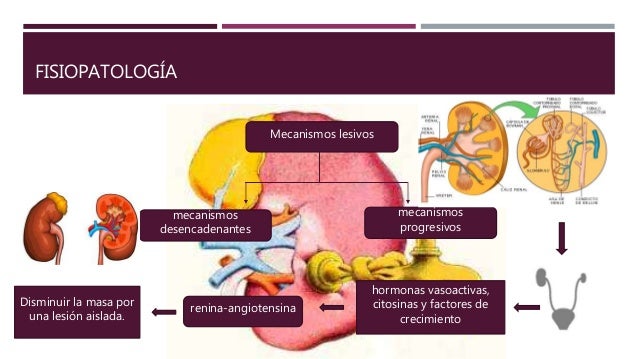 Insuficiencia renal cronica