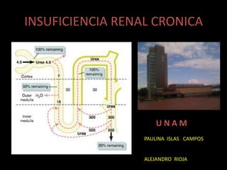 INSUFICIENCIA RENAL CRONICA    UNAM PAULINA  ISLAS   CAMPOS ALEJANDRO  RIOJA    