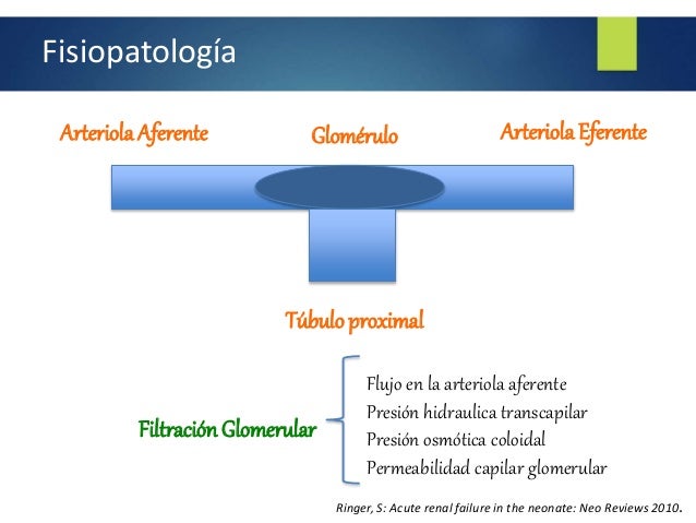 Insuficiencia renal neonatal rlc Insuficiencia renal neonatal rlc