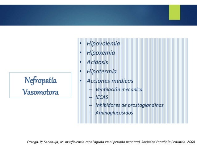 Insuficiencia renal neonatal rlc Insuficiencia renal neonatal rlc