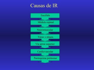 Causas de IR Encéfalo Médula espinal Neuromuscular Tórax y pleura Vía aérea superior Cardiovascular Parenquima pulmonar 