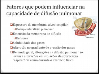 Fatores que podem influenciar na
capacidade de difusão pulmonar
Espessura da membrana alveolocapilar
Doença intersticial pulmonar
Extensão da membrana de difusão
Enfisema
Solubilidade dos gases
Alteração no gradiente de pressão dos gases
De modo geral, alterações na difusão pulmonar só
levam a alterações em situações de sobrecarga
respiratória como durante o exercício físico.
 