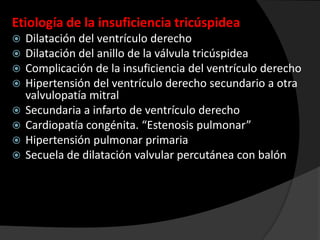 Etiología de la insuficiencia tricúspidea









Dilatación del ventrículo derecho
Dilatación del anillo de la válvula tricúspidea
Complicación de la insuficiencia del ventrículo derecho
Hipertensión del ventrículo derecho secundario a otra
valvulopatía mitral
Secundaria a infarto de ventrículo derecho
Cardiopatía congénita. “Estenosis pulmonar”
Hipertensión pulmonar primaria
Secuela de dilatación valvular percutánea con balón

 