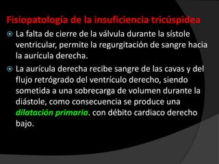 Fisiopatología de la insuficiencia tricúspidea
La falta de cierre de la válvula durante la sístole
ventricular, permite la regurgitación de sangre hacia
la aurícula derecha.
 La aurícula derecha recibe sangre de las cavas y del
flujo retrógrado del ventrículo derecho, siendo
sometida a una sobrecarga de volumen durante la
diástole, como consecuencia se produce una
dilatación primaria. con débito cardiaco derecho
bajo.


 