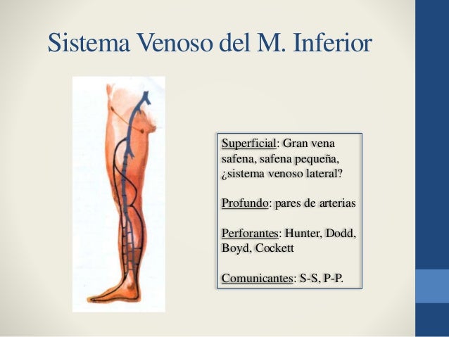 Que las venas en los pies no sean visible las venas