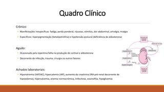 Quadro Clínico
Crônico:
• Manifestações inespecíficas: fadiga, perda ponderal, náuseas, vômitos, dor abdominal, artralgia, mialgia
• Específicos: hiperpigmentação (betalipotrofina) e hipotensão postural (deficiência de aldosterona)
Agudo:
• Ocasionada pela repentina falha na produção de cortisol e aldosterona
• Decorrente de infecção, trauma, cirurgia ou outros fatores
Achados laboratoriais:
• Hiponatremia (IAP/IAC), hipercalemia (IAP), aumento da creatinina (IRA pré-renal decorrente de
hipovolemia), hipercalcemia, anemia normocrômica, linfocitose, eosinofilia, hipoglicemia
 