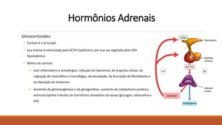 Hormônios Adrenais
Glicocorticoides:
• Cortisol é o principal
• Sua síntese é estimulada pelo ACTH hipofisário, por sua vez regulado pelo CRH
hipotalâmico
• Efeitos do cortisol:
 Anti-inflamatório e antialérgico: redução da hiperemia, da resposta celular, da
migração de neutrófilos e macrófagos, da exsudação, da formação de fibroblastos e
da liberação de histamina
 Aumento da gliconeogênese e da glicogenólise, aumento do catabolismo proteico,
estimula lipólise e facilita de hormônios ativadores da lipase (glucagon, adrenalina e
GH)
 