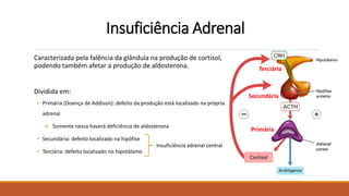 Insuficiência Adrenal
Caracterizada pela falência da glândula na produção de cortisol,
podendo também afetar a produção de aldosterona.
Dividida em:
• Primária (Doença de Addison): defeito da produção está localizado na própria
adrenal
 Somente nessa haverá deficiência de aldosterona
• Secundária: defeito localizado na hipófise
• Terciária: defeito localizado no hipotálamo
Insuficiência adrenal central
Primária
Secundária
Terciária
 
