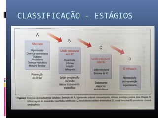 CLASSIFICAÇÃO - ESTÁGIOS
 