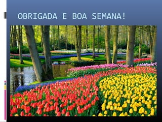 OBRIGADA E BOA SEMANA!
 