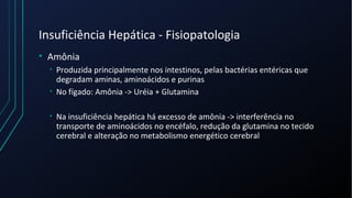 Insuficiência Hepática - Fisiopatologia
• Amônia
• Produzida principalmente nos intestinos, pelas bactérias entéricas que
degradam aminas, aminoácidos e purinas
• No fígado: Amônia -> Uréia + Glutamina
• Na insuficiência hepática há excesso de amônia -> interferência no
transporte de aminoácidos no encéfalo, redução da glutamina no tecido
cerebral e alteração no metabolismo energético cerebral
 