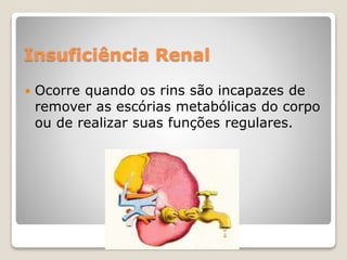 Insuficiência Renal 
 Ocorre quando os rins são incapazes de 
remover as escórias metabólicas do corpo 
ou de realizar suas funções regulares. 
 