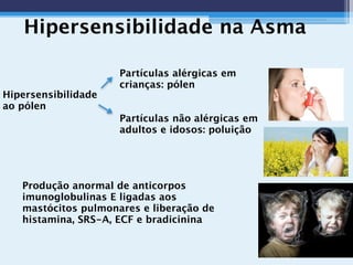 Hipersensibilidade na Asma
Partículas alérgicas em
crianças: pólen
Partículas não alérgicas em
adultos e idosos: poluição
Hipersensibilidade
ao pólen
 
Produção anormal de anticorpos
imunoglobulinas E ligadas aos
mastócitos pulmonares e liberação de
histamina, SRS-A, ECF e bradicinina
 