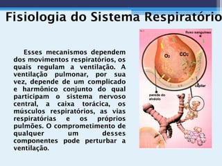 Esses mecanismos dependem
dos movimentos respiratórios, os
quais regulam a ventilação. A
ventilação pulmonar, por sua
vez, depende de um complicado
e harmônico conjunto do qual
participam o sistema nervoso
central, a caixa torácica, os
músculos respiratórios, as vias
respiratórias e os próprios
pulmões. O comprometimento de
qualquer um desses
componentes pode perturbar a
ventilação.
Fisiologia do Sistema Respiratório
 