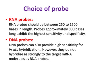 Choice of probe 
• RNA probes: 
RNA probes should be between 250 to 1500 
bases in length. Probes approximately 800 bases 
long exhibit the highest sensitivity and specificity. 
• DNA probes: 
DNA probes can also provide high sensitivity for 
in situ hybridization.. However, they do not 
hybridize as strongly to the target mRNA 
molecules as RNA probes. 
 