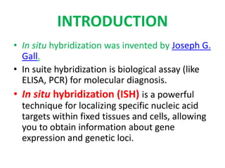 INTRODUCTION 
• In situ hybridization was invented by Joseph G. 
Gall. 
• In suite hybridization is biological assay (like 
ELISA, PCR) for molecular diagnosis. 
• In situ hybridization (ISH) is a powerful 
technique for localizing specific nucleic acid 
targets within fixed tissues and cells, allowing 
you to obtain information about gene 
expression and genetic loci. 
 